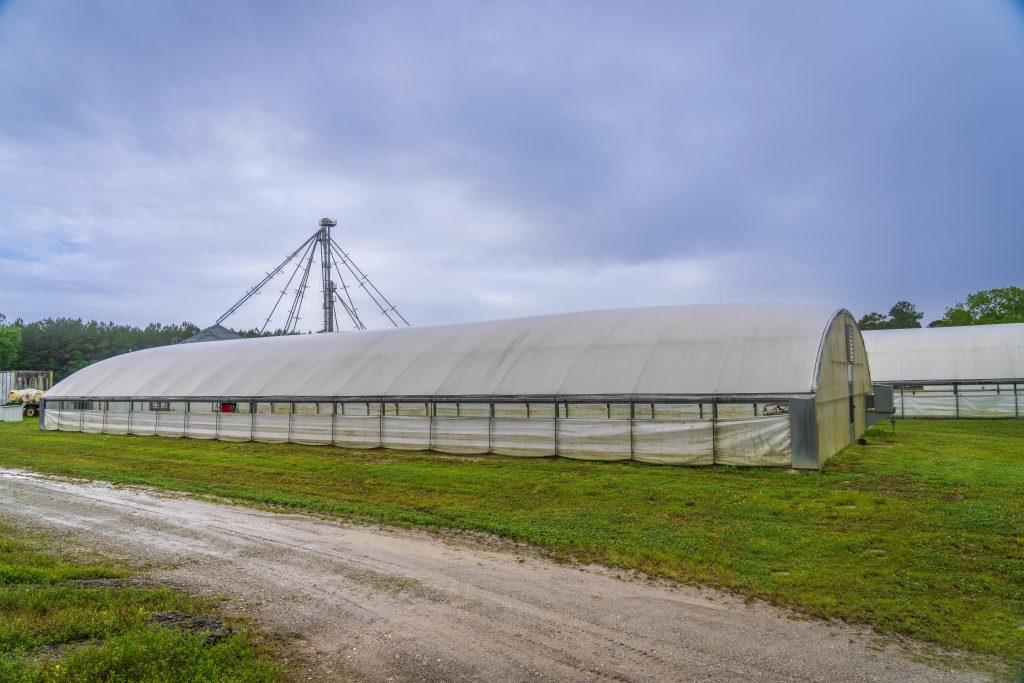 A greenhouse in a rural area under a cloudy sky, showcasing agricultural technology.